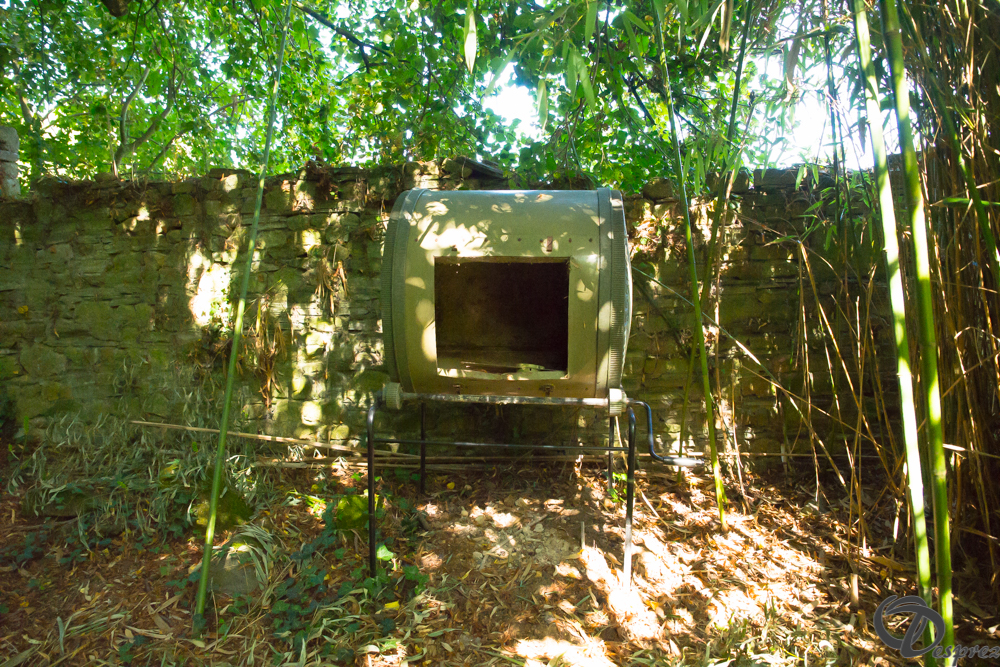 2019-aout-22-DSC08434