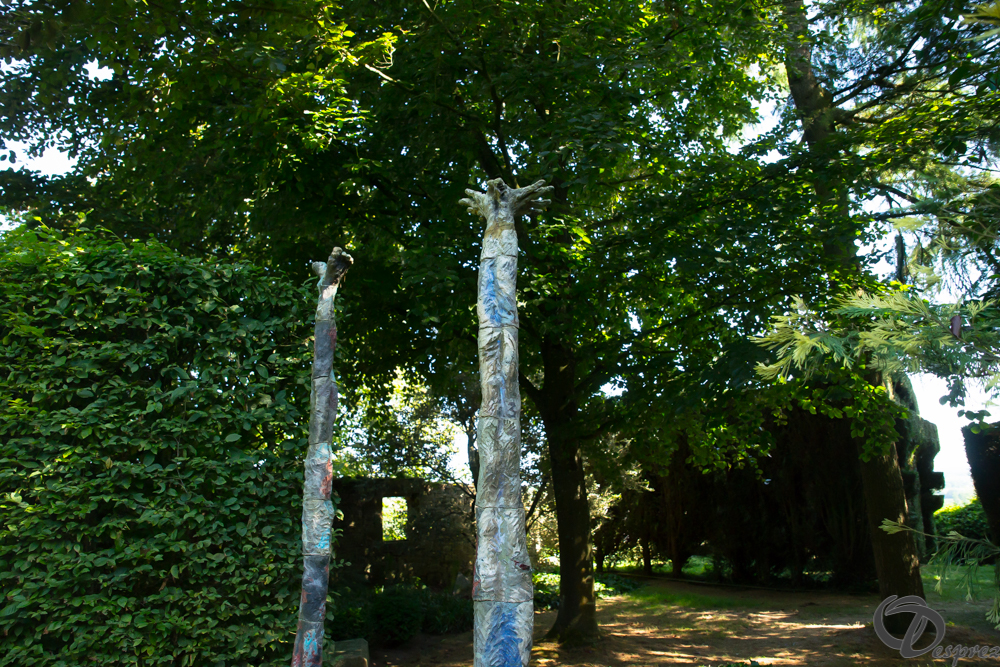 2019-aout-22-DSC08435