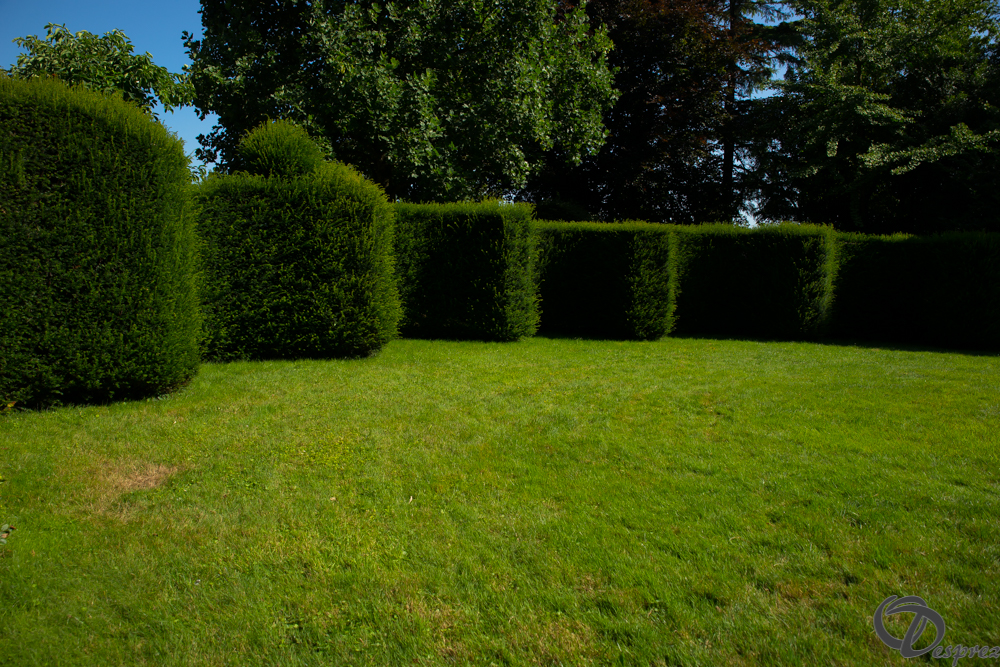 2019-aout-22-DSC08438