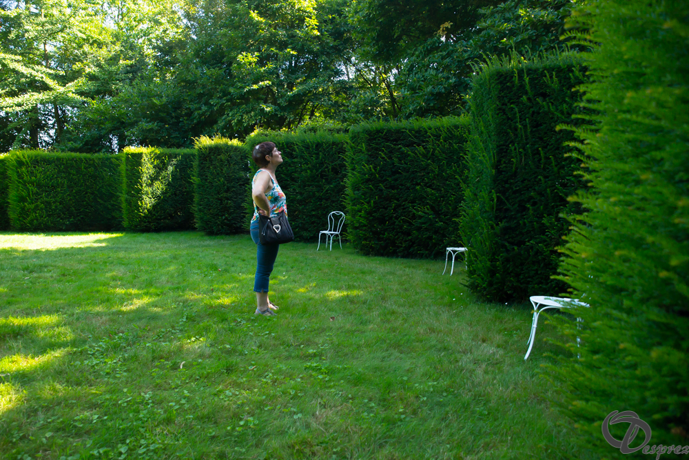 2019-aout-22-DSC08439