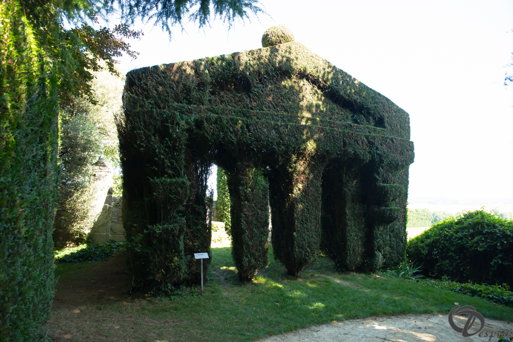 2019-aout-22-DSC08440