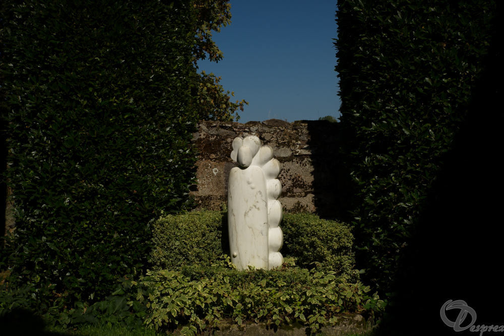 2019-aout-22-DSC08441