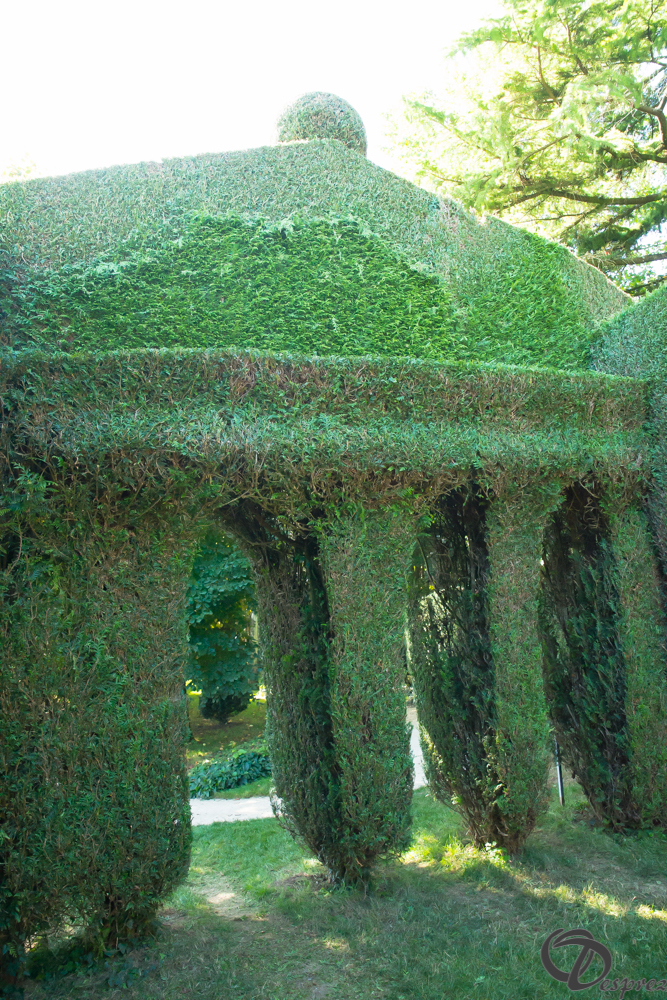 2019-aout-22-DSC08442