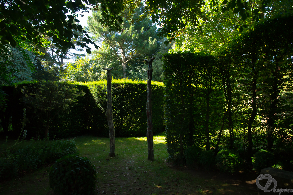 2019-aout-22-DSC08443