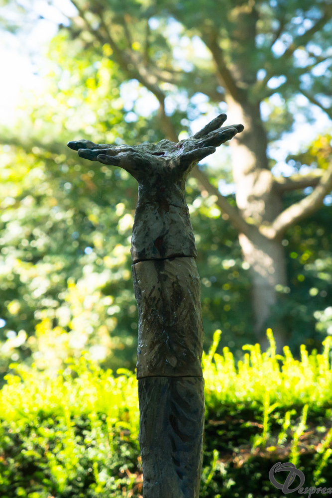 2019-aout-22-DSC08444