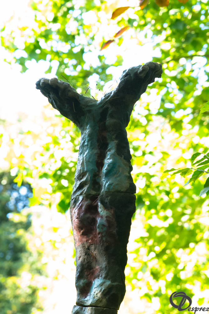 2019-aout-22-DSC08445