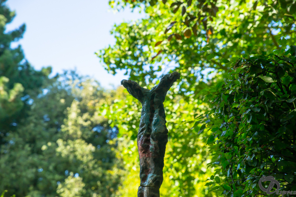 2019-aout-22-DSC08446