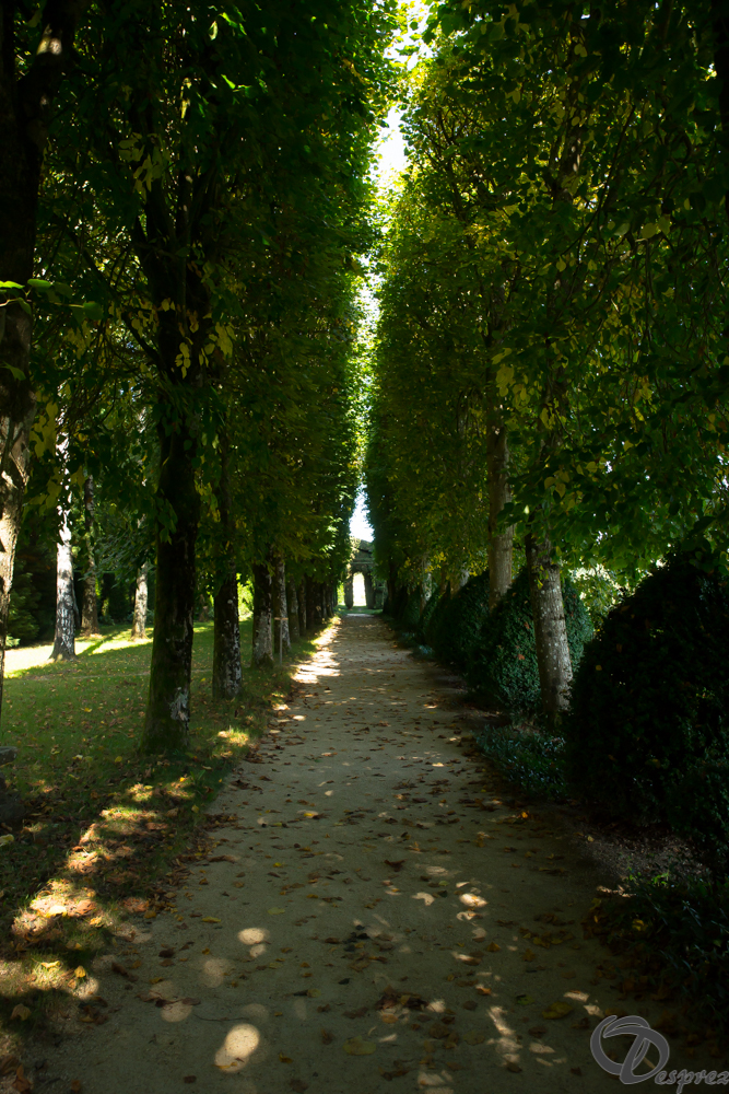 2019-aout-22-DSC08449