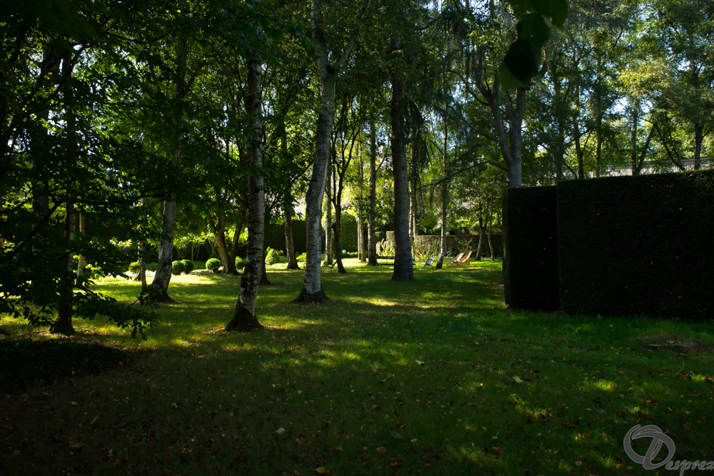 2019-aout-22-DSC08450