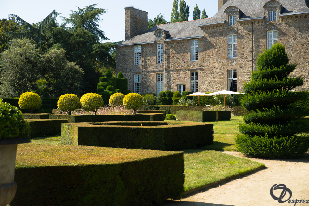 2019-aout-22-DSC08453