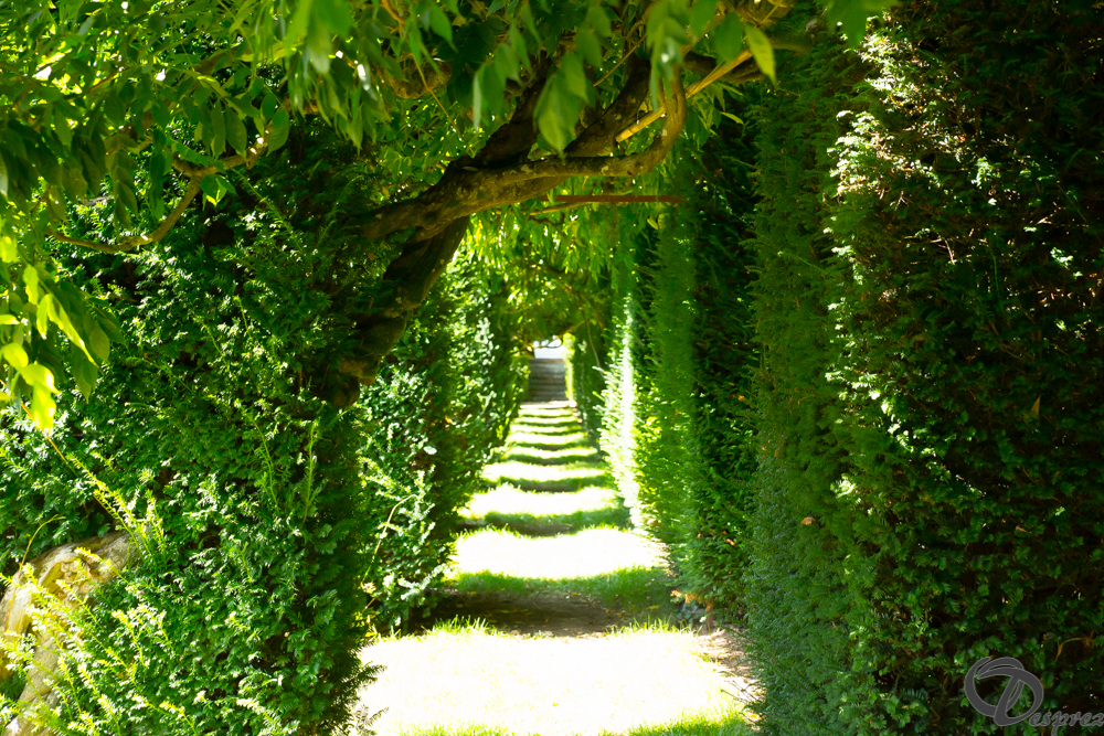 2019-aout-22-DSC08454