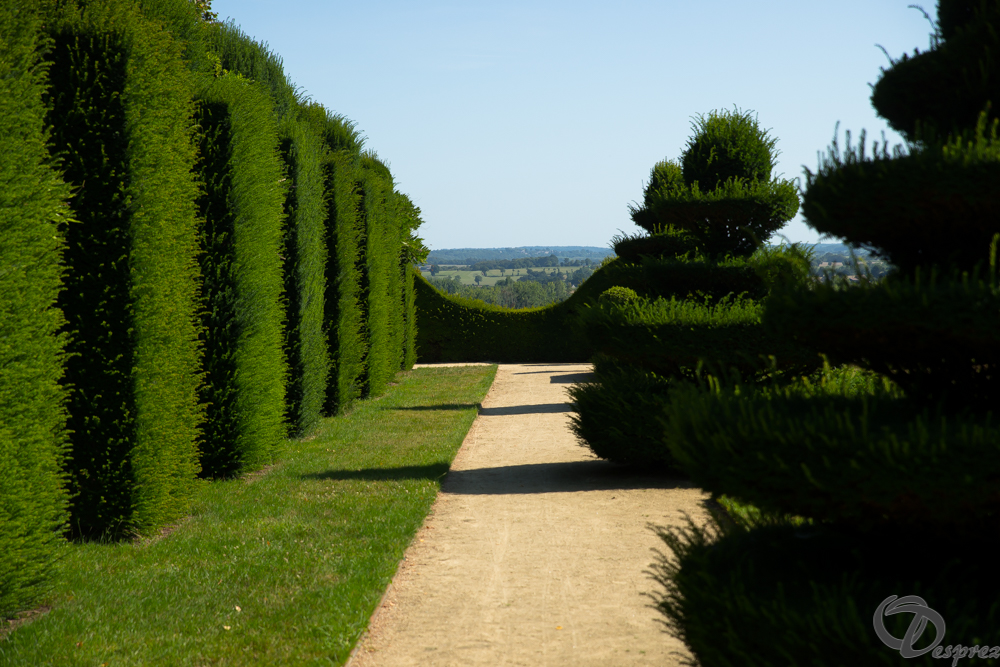 2019-aout-22-DSC08458