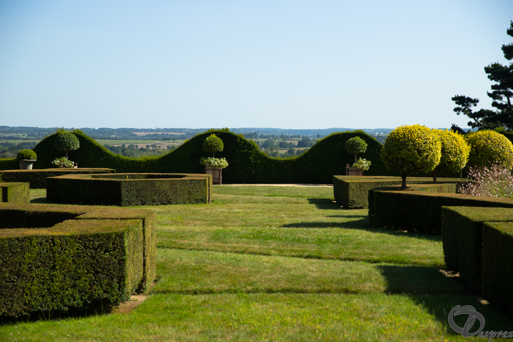 2019-aout-22-DSC08459