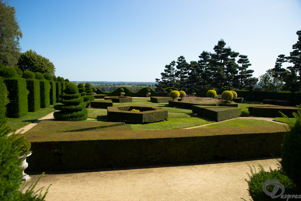 2019-aout-22-DSC08460