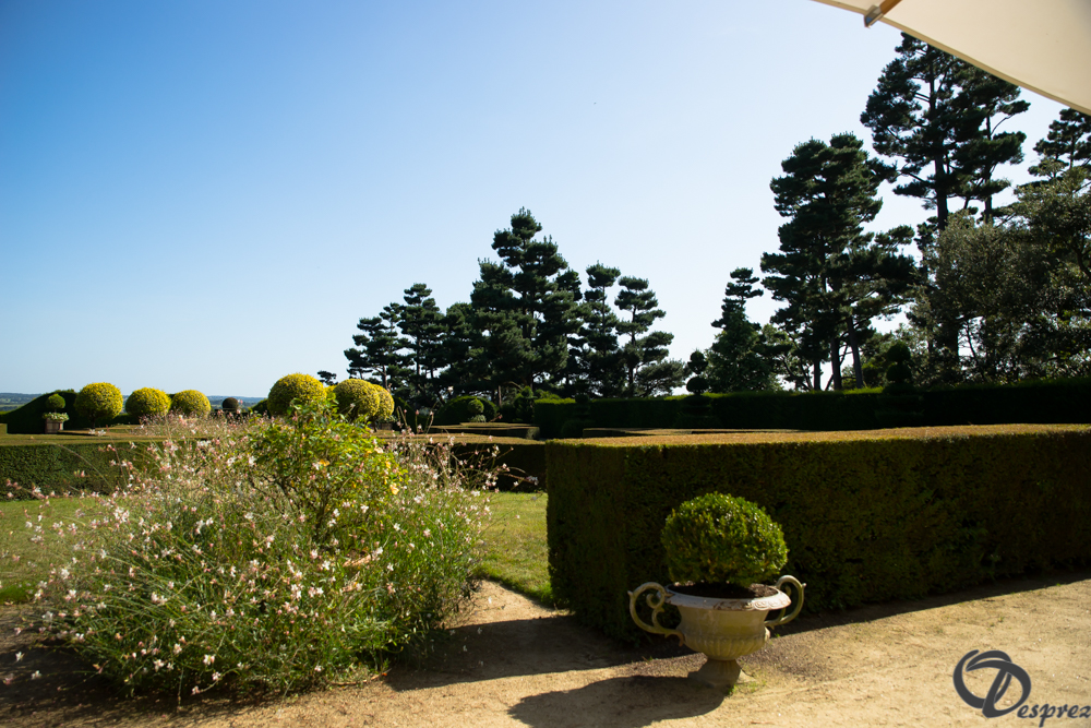 2019-aout-22-DSC08461