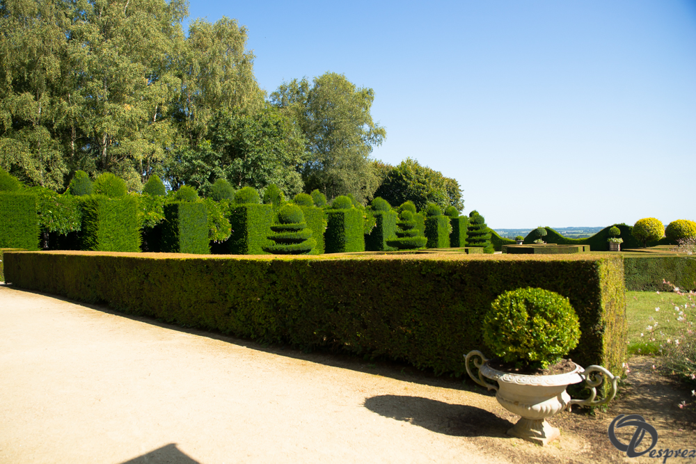 2019-aout-22-DSC08462