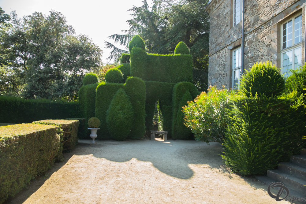 2019-aout-22-DSC08465