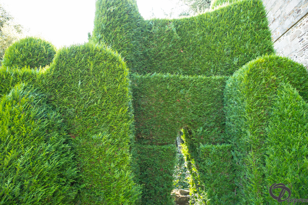 2019-aout-22-DSC08466