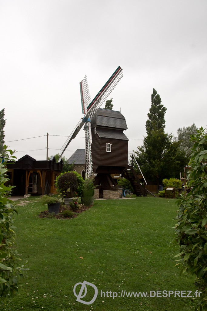 DSC02689