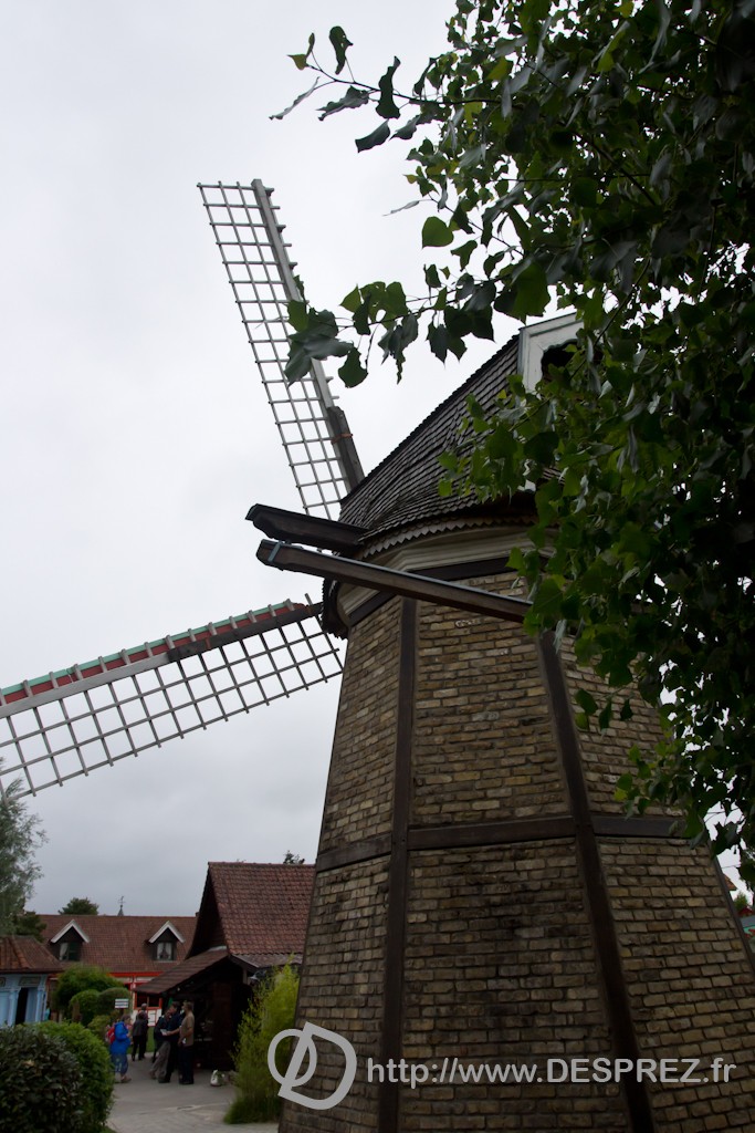 DSC02735