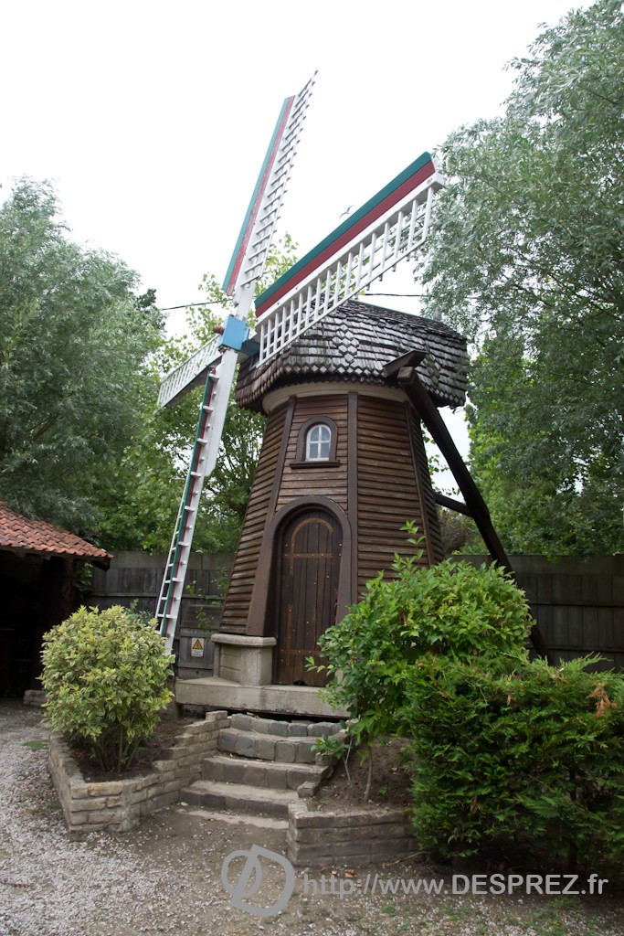 DSC02785