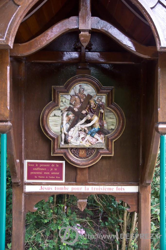 DSC02895