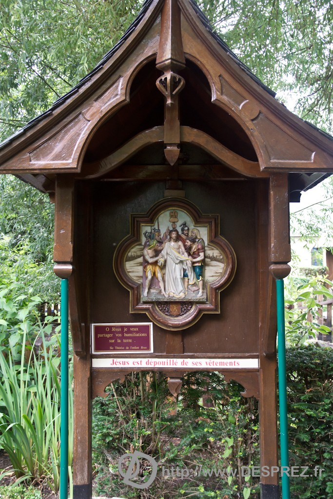 DSC02896