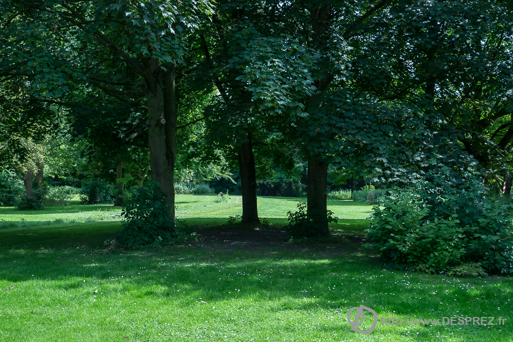 2014-02-24-DSC-00038