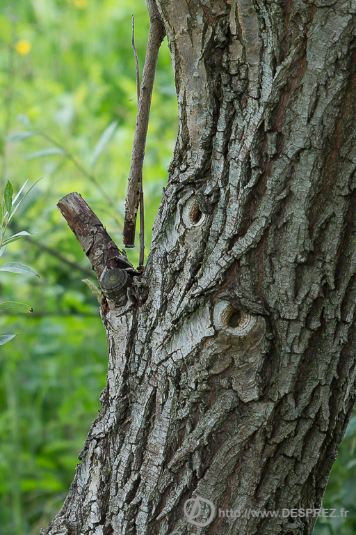 2014-02-24-DSC-00042