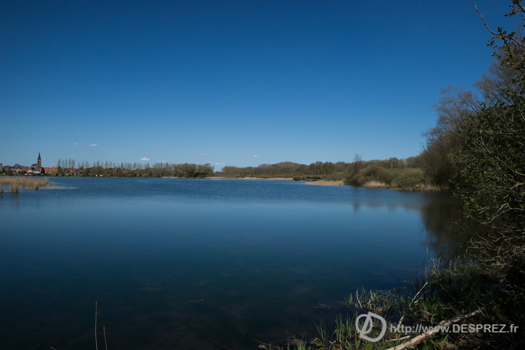 2014-02-24-DSC-01392