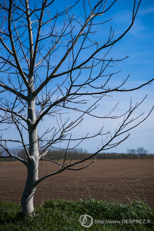 2014-02-24-DSC-01430