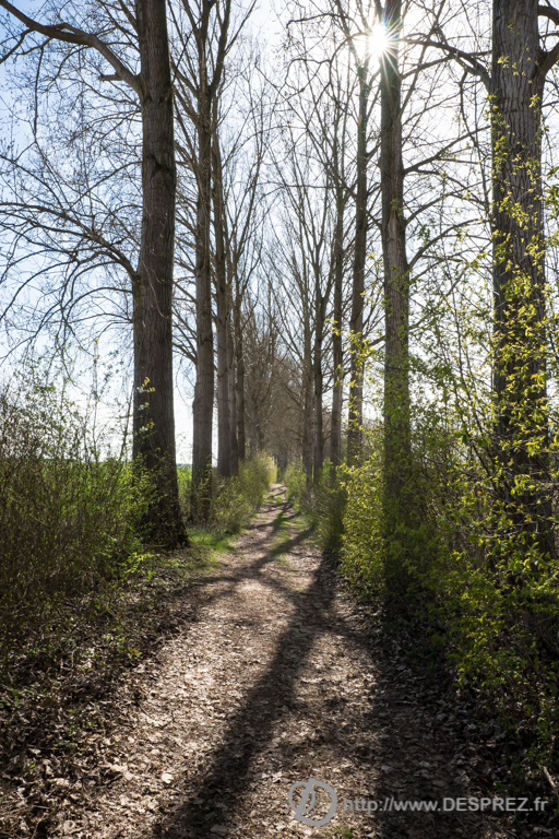 2014-02-24-DSC-01453