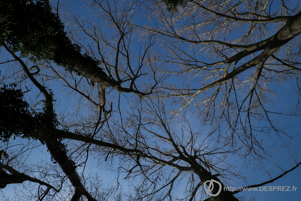 2014-02-24-DSC-01454