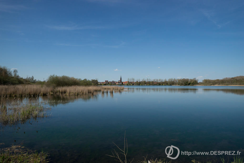 2014-02-24-DSC-01456