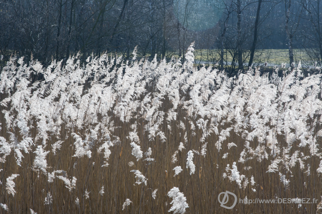 2014-02-24-DSC-04228