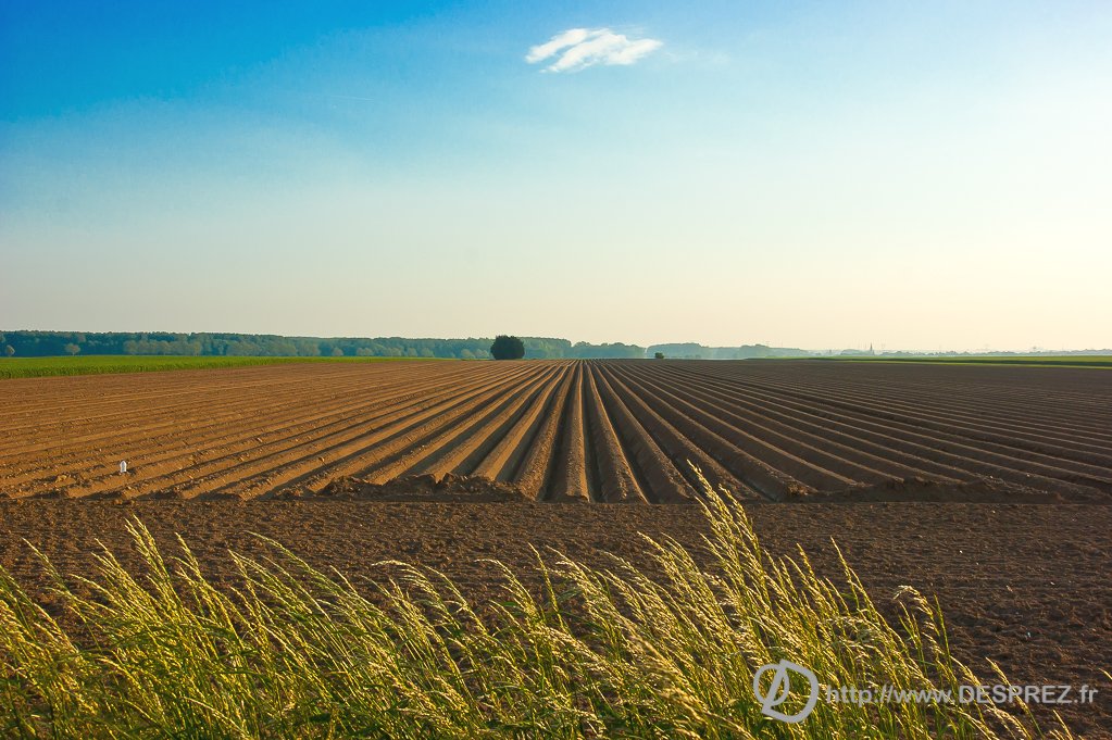 2014-02-24-dsc-03532