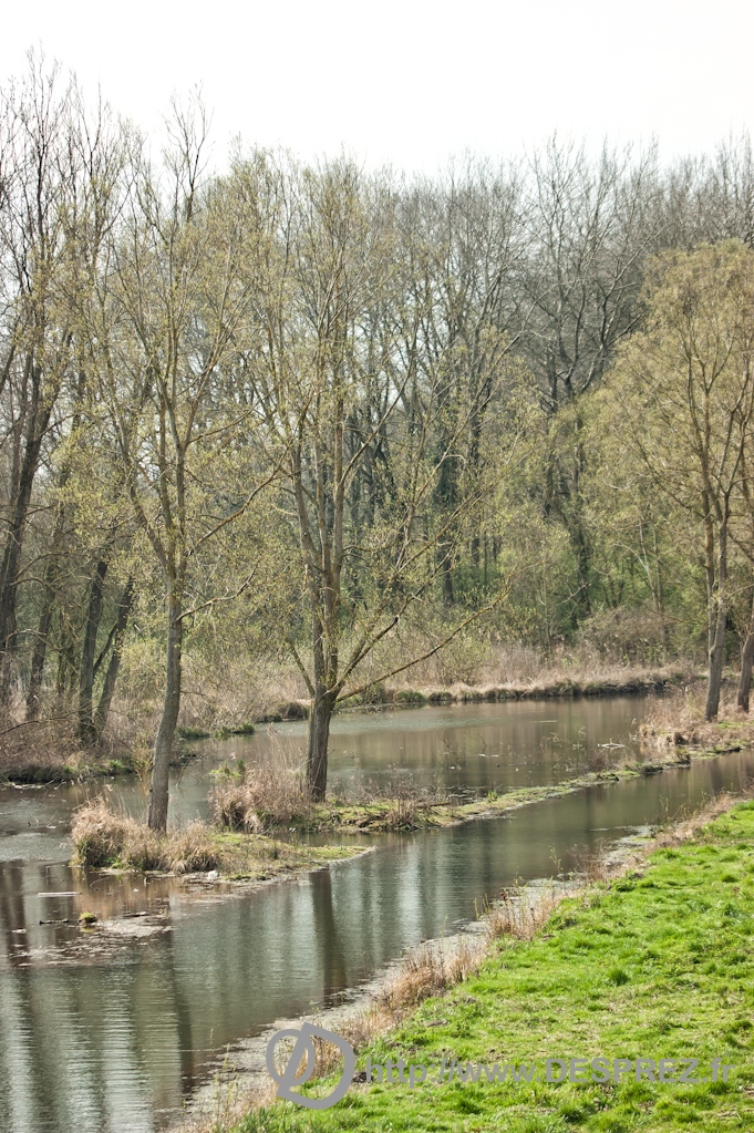 DSC01756 Modifier