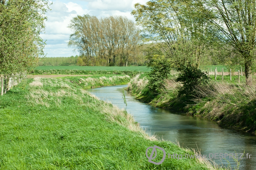 DSC02220