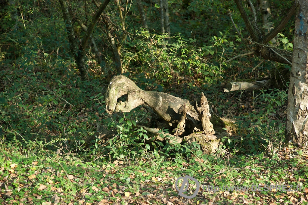 DSC09162