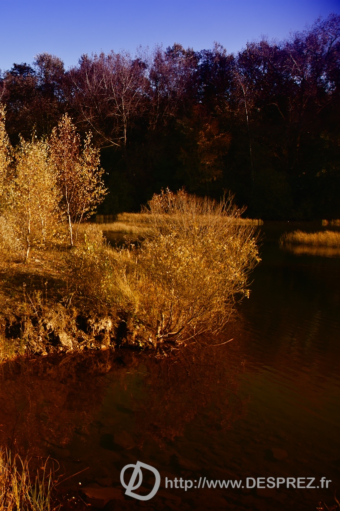 DSC09173 Modifier
