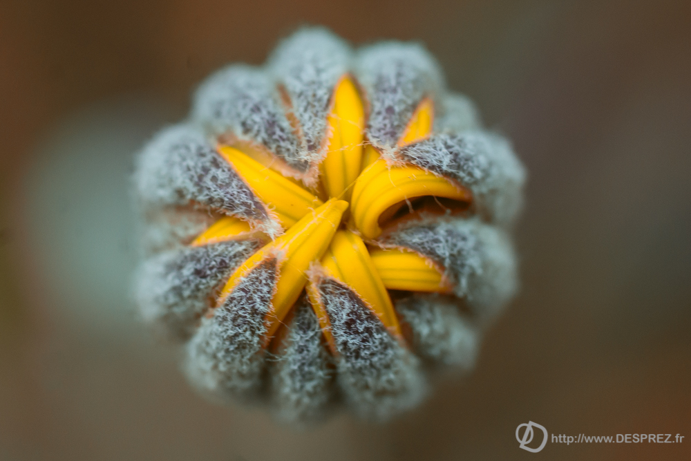 2019-04-17-DSC07378-Modifier