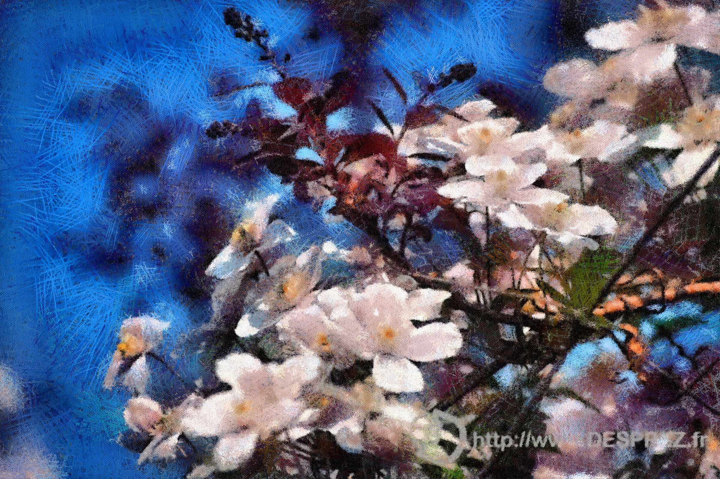 DSC05612 DAP Pastels