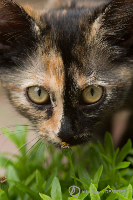 2014-02-24-DSC-00350