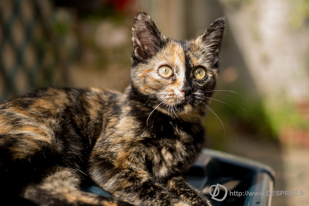 2014-02-24-DSC-00448