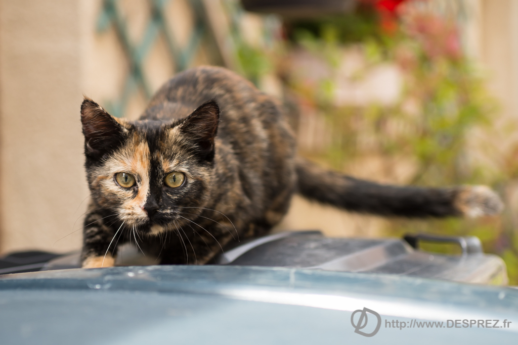 2014-02-24-DSC-00451