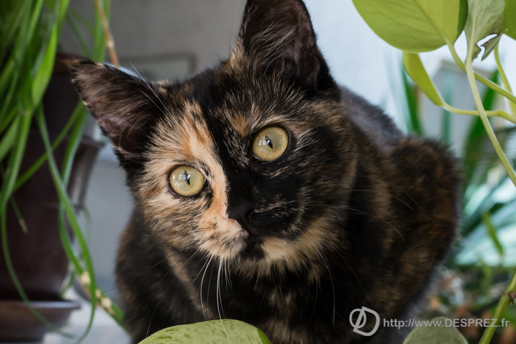 2014-02-24-DSC-00541