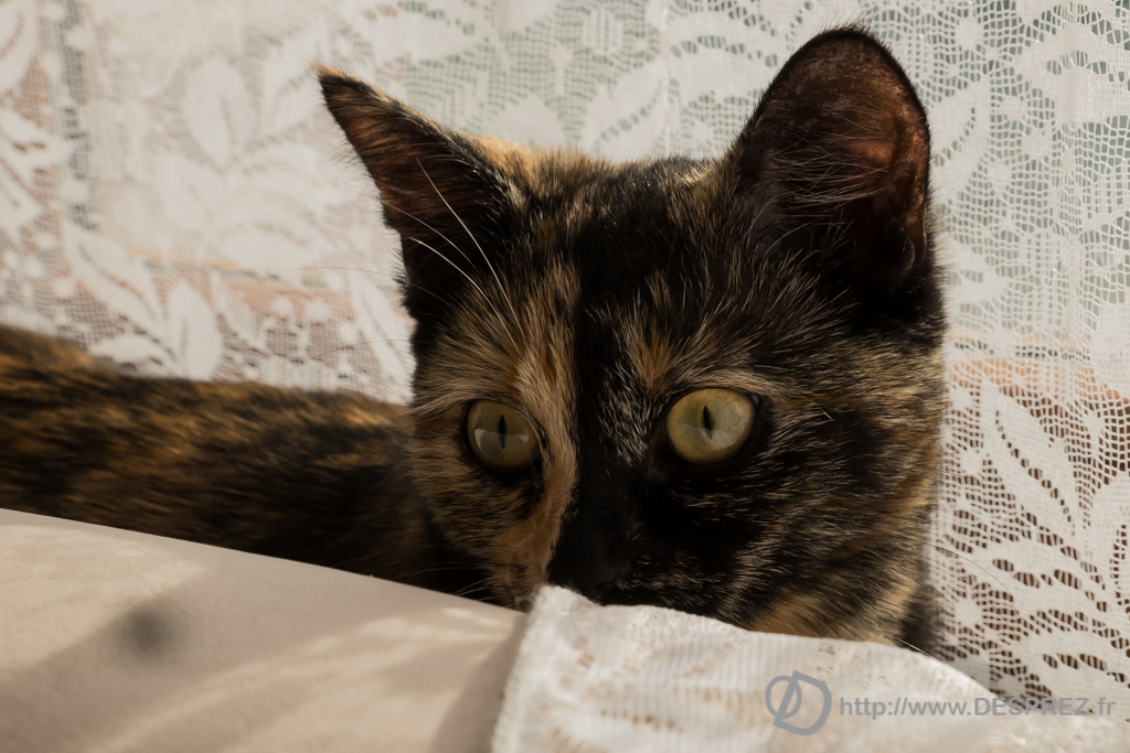 2014-02-24-DSC-00548