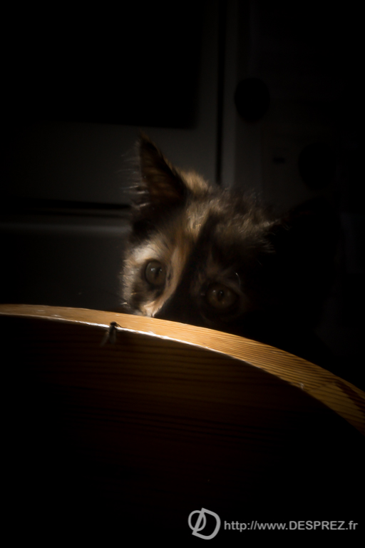 2014-02-24-DSC-05615