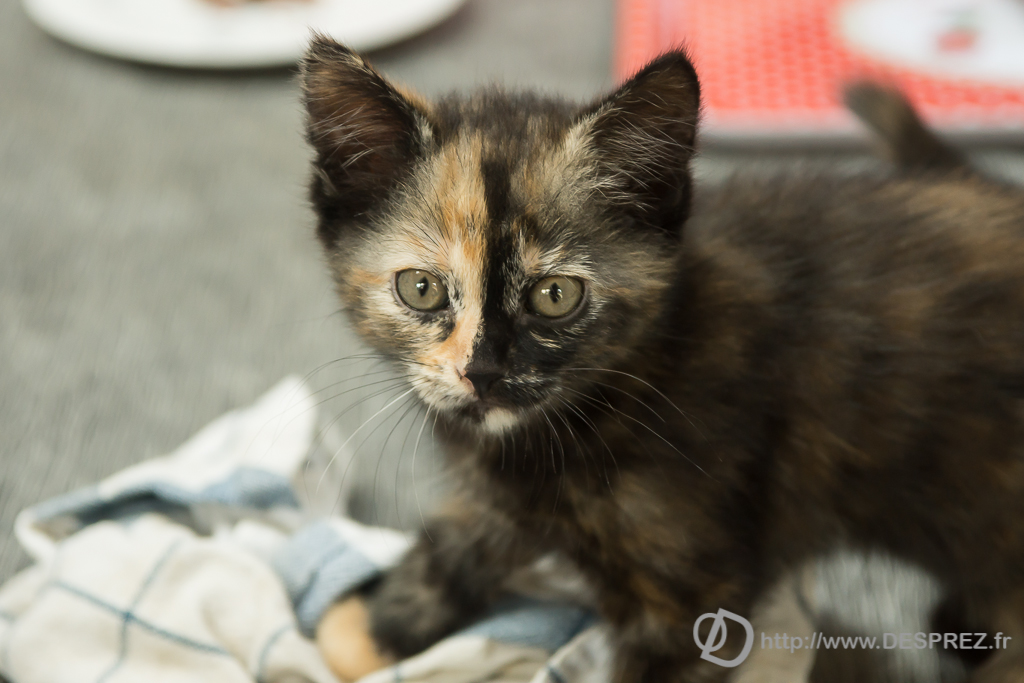 2014-02-24-DSC-05619