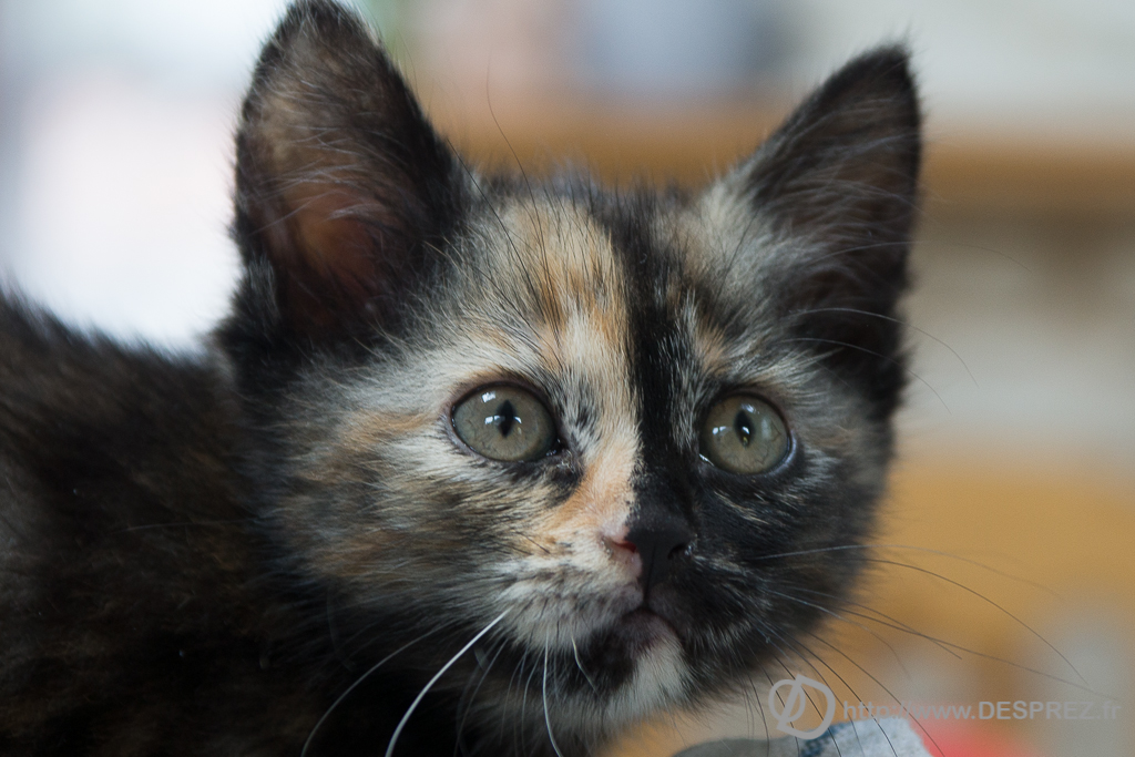 2014-02-24-DSC-05623